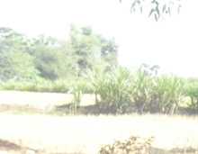 KRAMA�E�N���}�[�E�W  2008.5.23�`6.1