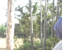 KRAMA�E�N���}�[�E�W  2008.5.23�`6.1