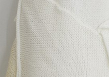 2011 �c�������q�E�t�Ẵj�b�g�W  2011.4.22�`5.1