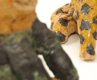 �g��獁�q�W 2014.5.9�`5.18